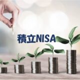 【2022年1月】積立NISAを始めてから23ヶ月経過したので評価損益・年利について。eMAXIS Slim 米国株式（S&P500）が良い感じ。